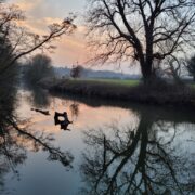 The River Mole – David Le Vay