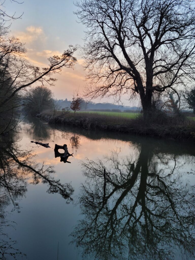 The River Mole - David Le Vay