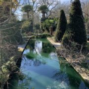 Wisley pond – Margaret Voller