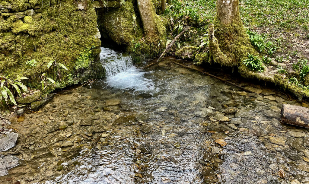 Source of Refreshment (Long Wood, Cheddar Gorge) - Andi Champion