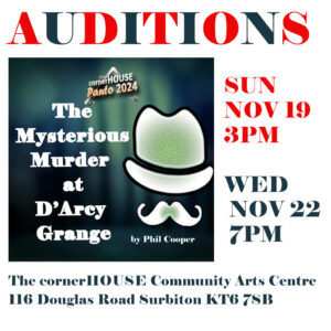 The Mysterious Murder at D'Arcy Grange - Auditions